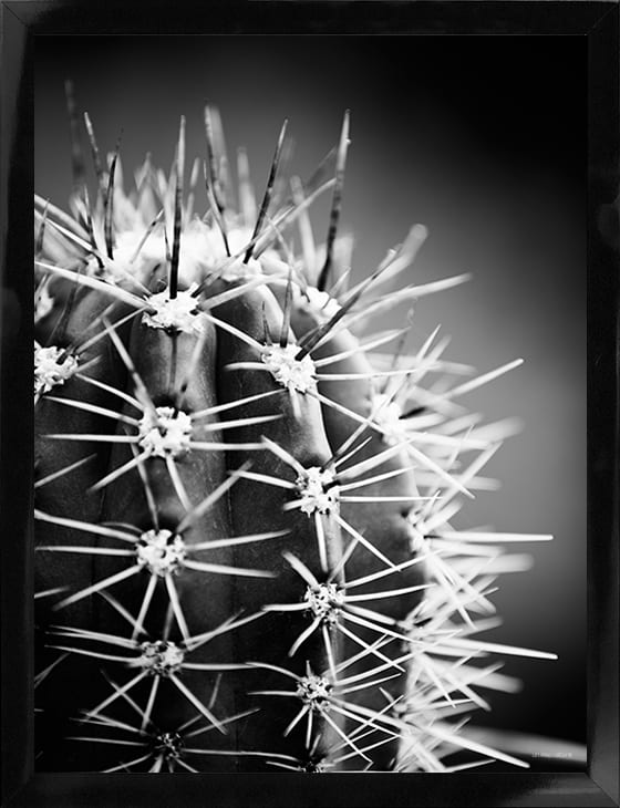 Sort Hvid Plakater | Design Plakat