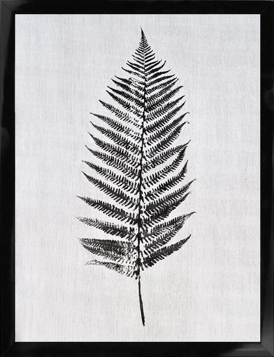 Sort Hvid Plakater | Design Plakat